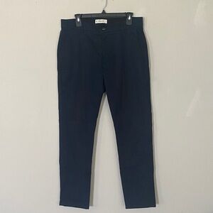 Everlane Mens Transit Navy Pants
